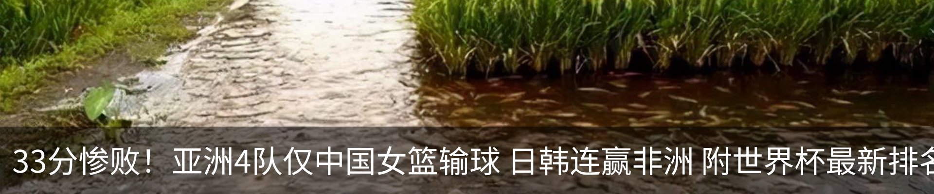 内页banner